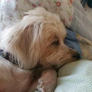 Meet your Posher, Sharonda